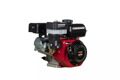 Двигатель VERTON GARDEN BS-220